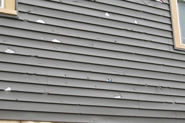 Best Engineered Wood Siding  in Center Point, IA